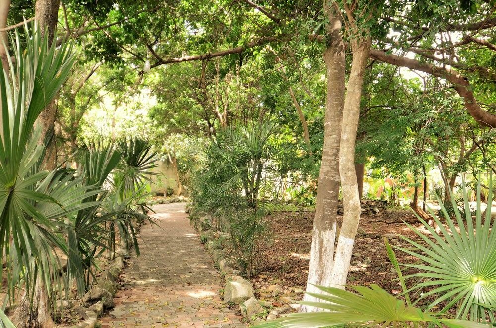 1 Bedroom Tohoku Hotel Playa del Carmen
